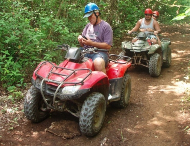  Passeggiate nella giungla 